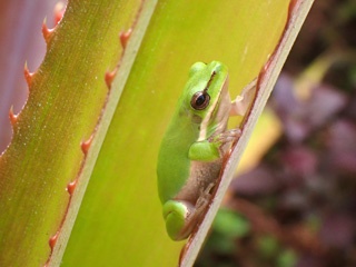 PA280705a1.jpg